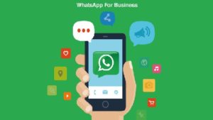 Transaksi Whatsapp Untuk Bisnis Pulsa