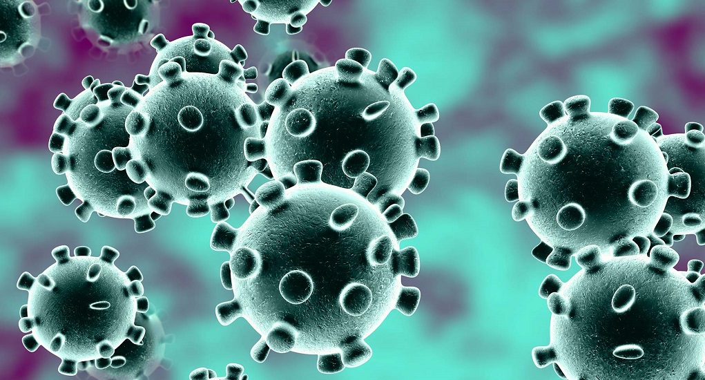 Daftar Negara di Dunia yang Masih Bebas Coronavirus